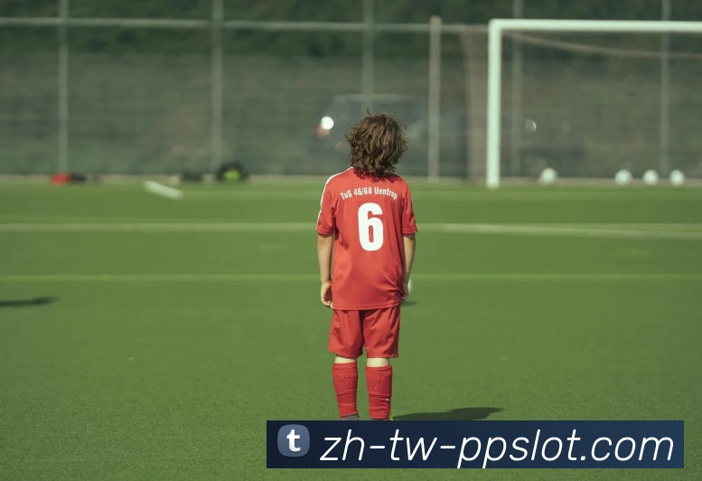 PP奥林匹斯之门官网平台生态图